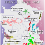 フランスワインを各地方で見てみよう！